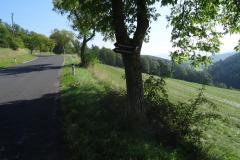 SRWW1_19