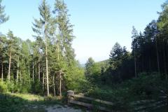 SRWW2_06