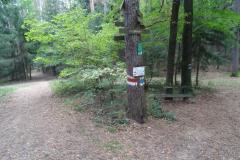 SRWW5_01
