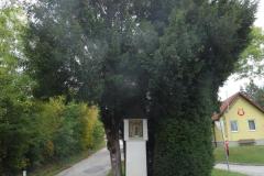 SRWW5_02