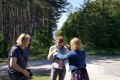 50