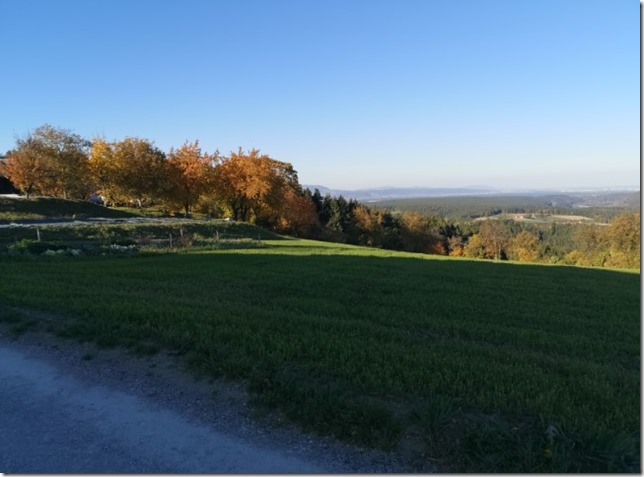 orchideenweg-12